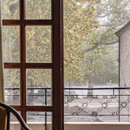 Chrysiida カラブリタ