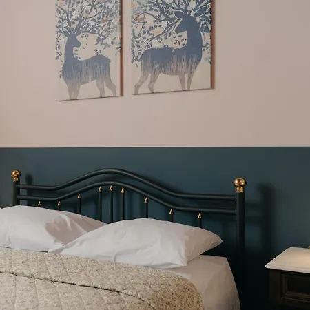 Chrysiida 3* カラブリタ