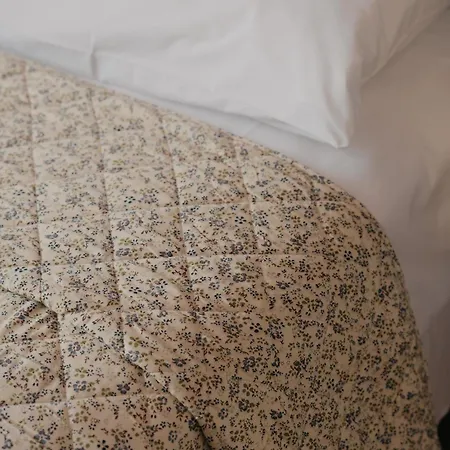 Chrysiida ゲストハウス 3*